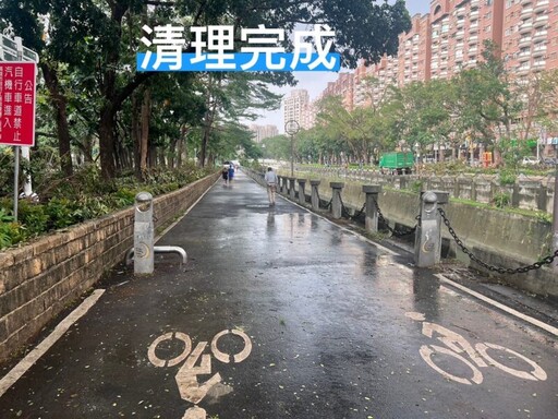 河堤公園遍地樹倒 國軍協助高市水利局全力搶通