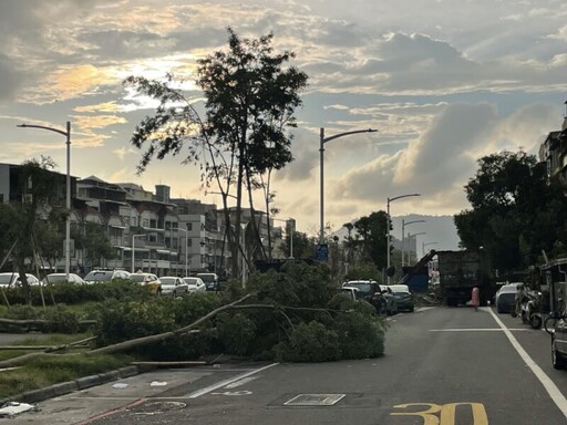 風災後 高市團隊鐵路地下化園道已迅速全面完成恢復市容