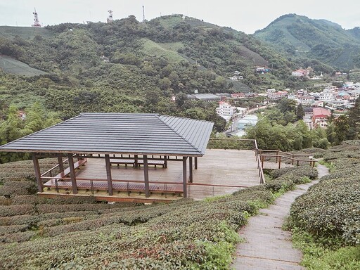 登雲梯、走步道、吃美食、玩醃梅 嘉義縣推梅山親子遊多元玩法