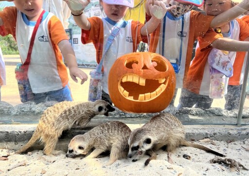 萬聖節即將來臨「南瓜料理東西爭霸戰」壽山動物園登場