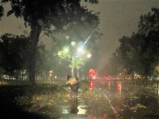 路樹倒地阻交通 北興警冒強颱風雨排除障礙