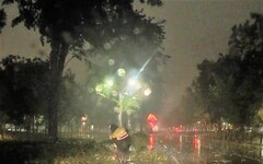 路樹倒地阻交通 北興警冒強颱風雨排除障礙