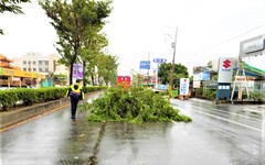 樹倒阻礙道路 北鎮警於強颱風雨中排除路障