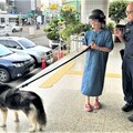 愛犬走失好心急 興安警助女子順利找回