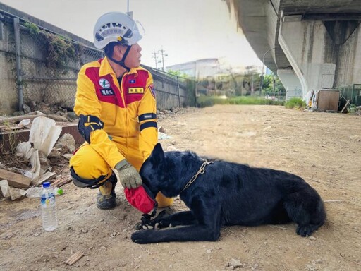 高市搜救犬屢創佳績 再添1隻中級搜救犬