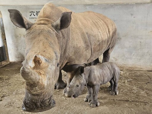 榮獲國際肯定六福村成為東南亞SEAZA協會會員 攜手共同促進國際動物交流