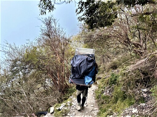 浪犬跑玉山觀測站討食 經誘捕人力扛下山