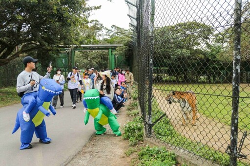 六福村超夯「萌獸路跑」元旦限定「日出動物園」群獅獻吼與犀同行