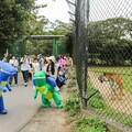 六福村超夯「萌獸路跑」元旦限定「日出動物園」群獅獻吼與犀同行