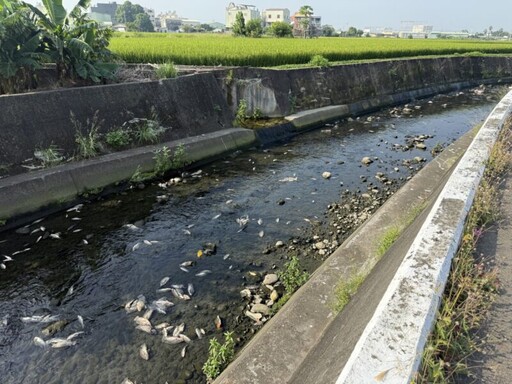 守護河川水體環境品質 中市環保局推動智慧監控