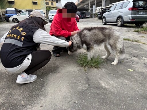 東勢區虐犬棄養 中市動保處將嚴懲