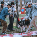 國際小狗日超過500隻好伴狗齊聚共度 「良伴美好的一天」！