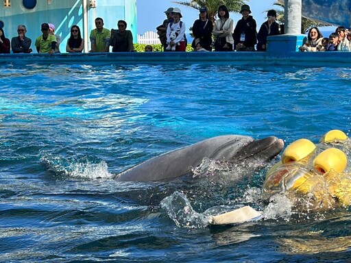 遠雄海洋公園攜手三單位培訓鯨豚觀察員 助守護海洋生態