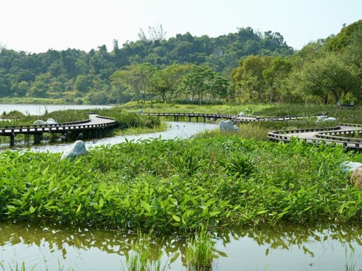 高雄觀音湖變身生態公園 觀光局打造台灣最美水岸景點