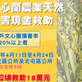 中市新社區及北屯區文心蘭災損 4/24前可申請現金救助