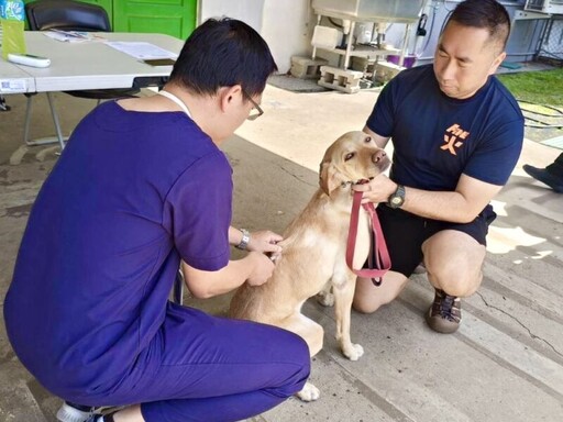 讓英雄無後顧之憂！動保處為搜救犬與警犬施打疫苗