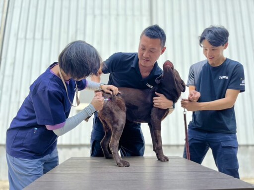讓英雄無後顧之憂！動保處為搜救犬與警犬施打疫苗