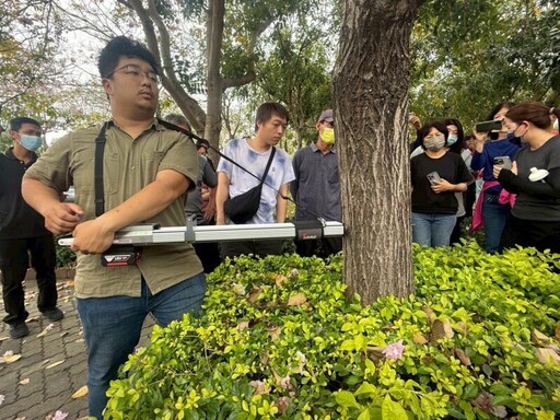 台中辦樹木修剪回訓課程 推動友善綠化專業化