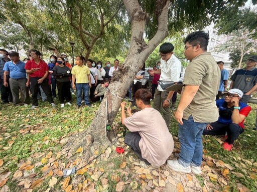 台中辦樹木修剪回訓課程 推動友善綠化專業化