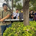台中辦樹木修剪回訓課程 推動友善綠化專業化