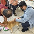 高雄市動物保護處:喵星人入籍地球也要報戶口！