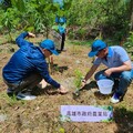 農業局攜手跨部門合作植樹 高雄半屏山移除外來種