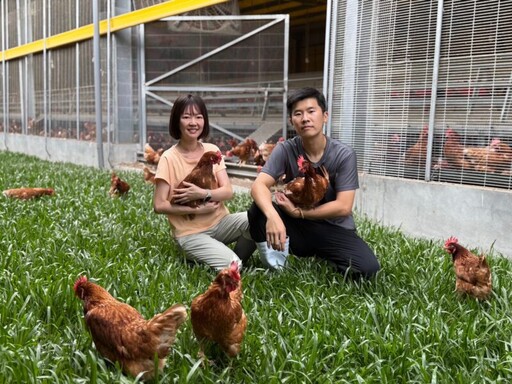 中市農業局推動蛋雞產業升級 持續倡導友善飼養模式