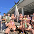 屏東黑鮪魚季迎來日本相撲力士 挑戰扛黑鮪魚試煉 雙方組隊PK 嗨翻魚市場