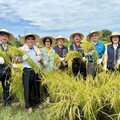 大里區農會推食農教育 學生下田割稻體驗當一日農夫