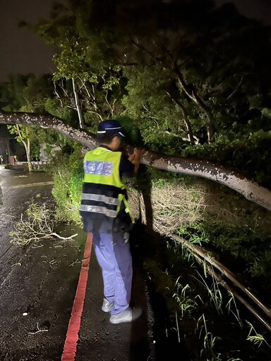 【丹娜絲颱風尾】6米高路樹倒塌堵路 烏日警冒雨鋸樹清障恢復通行
