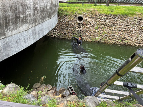 屏東2公園鴨鵝數量過多 縣府呼籲:別讓城市成為棄養的庇護所!