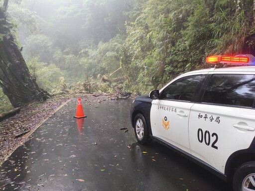 連日豪雨影響 大雪山道路32K路樹倒塌阻斷通行 和平警即刻交管確保安全