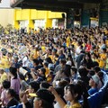 父親節「爸爸不付清！」 中信兄弟推親子入場贈票活動