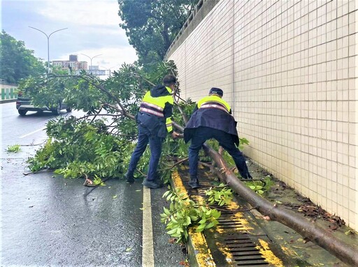 連日豪雨路樹倒塌 竹園警即時清除排除危害