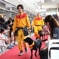 科博館《毛英雄與好夥伴》特展開幕 搜救犬英勇事蹟亮相！