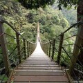 受災復建休園中的竹山天梯明年3月重新開放