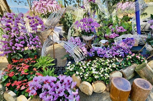 「花繪調色盤 色號#2025」 「2025埔里花卉展暨南投花卉嘉年華」22日起盛大登場