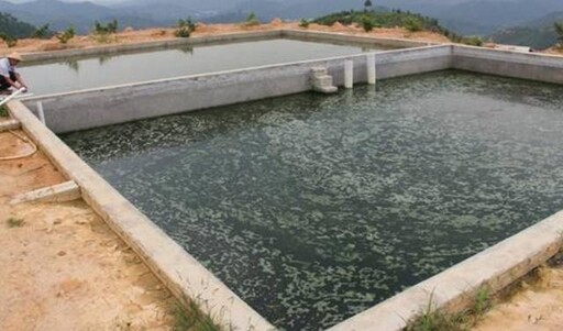 凱米颱風復健農村水保署「蓄水池」災損補助申請