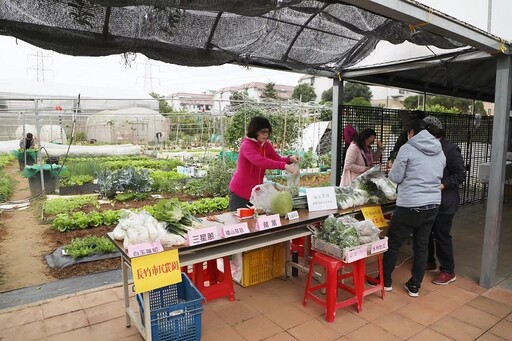 嘉市長竹市民農園建置無煙囪烤窯 推廣食農教育