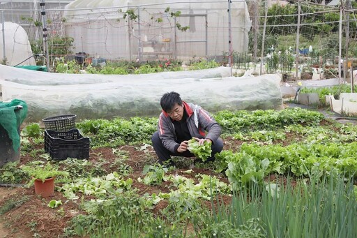 嘉市長竹市民農園建置無煙囪烤窯 推廣食農教育