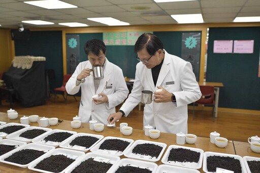 實至名歸！「貓空茶神」張慶泉奪113年木柵鐵觀音冬茶特等獎