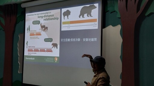 黑熊再現觀霧山區 部落民眾通報增添山林保育契機