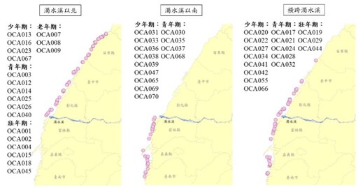 海保署公布白海豚113年監測成果 持續研究深化保育