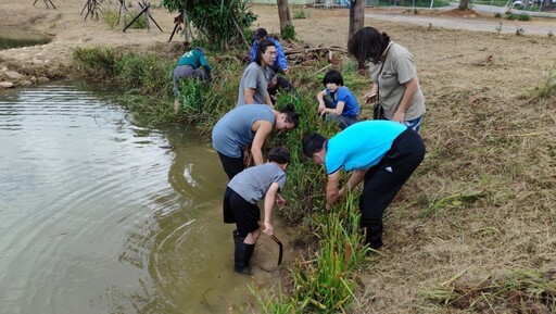 埤塘功能再提升 桃園水生植物保育跨新步伐