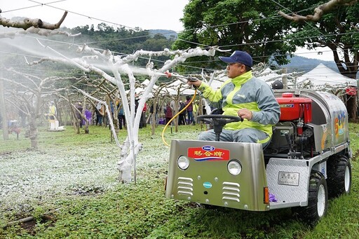 定期做防曬防範果樹枝幹日燒傷害！