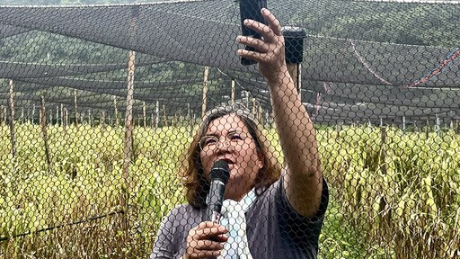 馬太鞍小米栽培管理班 部落注入文化傳承強心劑