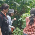 花改場敲拓染研習 創新崇德族人在地植物應用技能