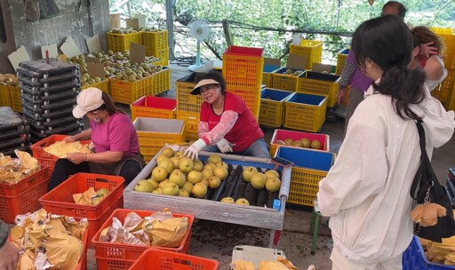 深耕坪林社區!朝陽科大「戰鬥務農族」打造坪林農業廢棄物再生新典範