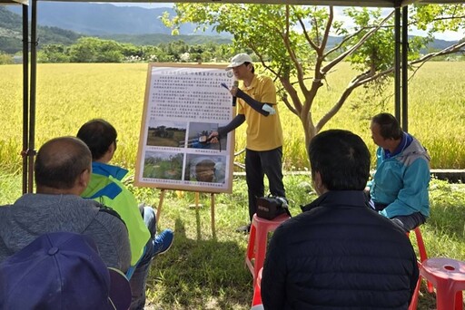 臺東農改場國土綠網水稻友善耕作示範觀摩會