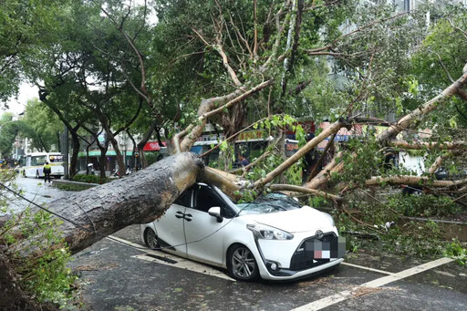 颱風襲屋損車泡水 加保颱風洪水險才有理賠